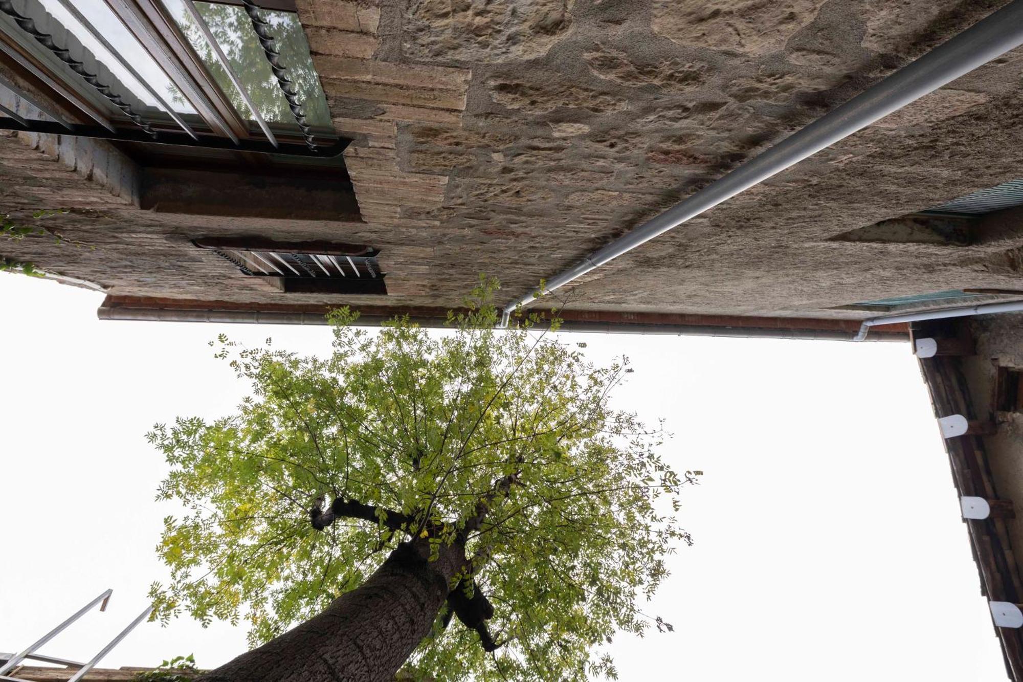 Hotel La Freixera Solsona Exteriör bild